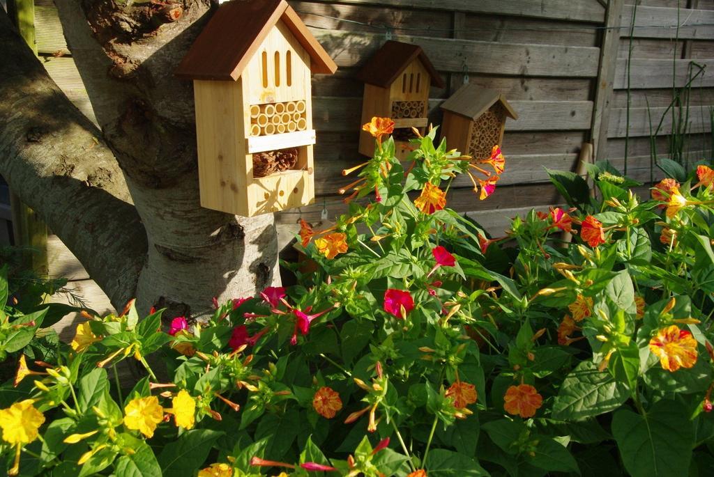 O'Maxethel Bed & Breakfast Soullans Bagian luar foto