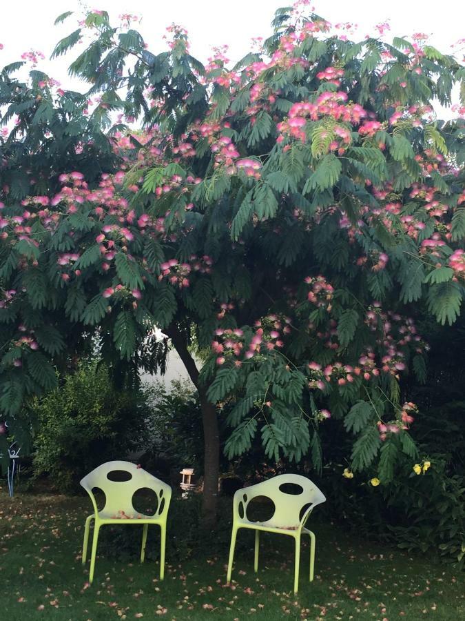 O'Maxethel Bed & Breakfast Soullans Bagian luar foto